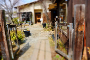 http://www.coriss.jp/blog/images/20150307KYOTO%20%283%29.JPG