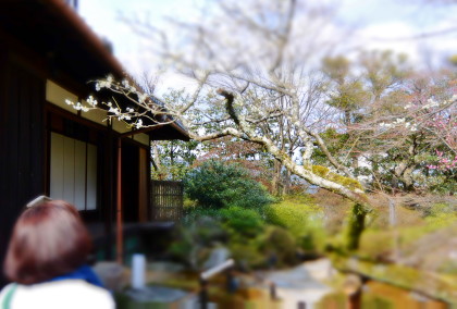 http://www.coriss.jp/blog/images/20160304KYOTO12.JPG