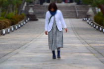 20160305KYOTO0.JPG