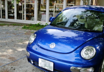 20120701beetle.JPG