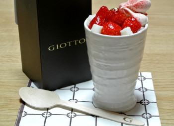 20120705GIOTTO.JPG