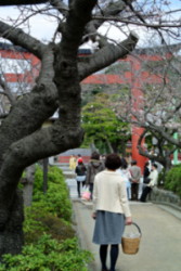 20130324RYOKO6.JPG