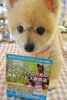 20130518MOMO.JPG