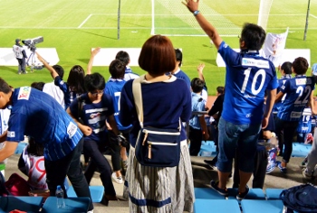 20160519avispa.jpg