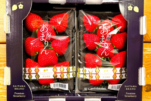 20250405image.jpg