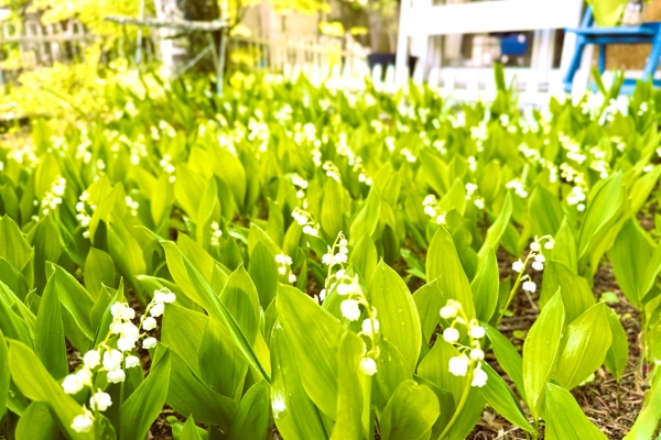 20250518image.jpg