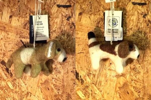 20251104xmas (10).jpg