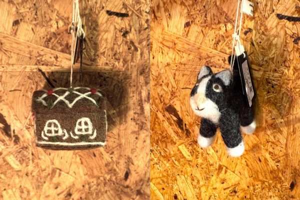 20251104xmas (9).jpg