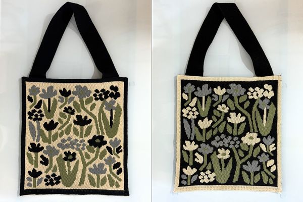 20260201frenchbull (1).jpg