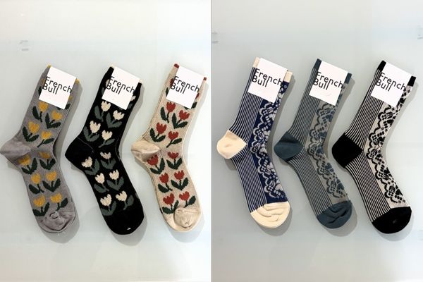 20260201frenchbull (6).jpg