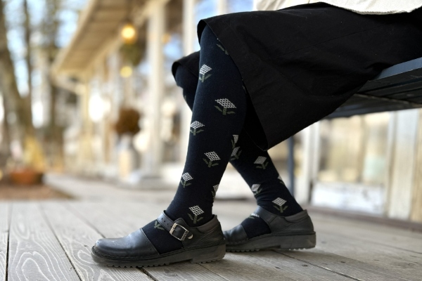 20260202frenchbull (11).jpg