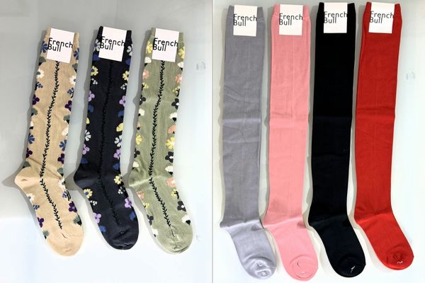 20260202frenchbull (2).jpg