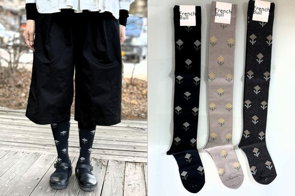 20260202frenchbull (3).jpg