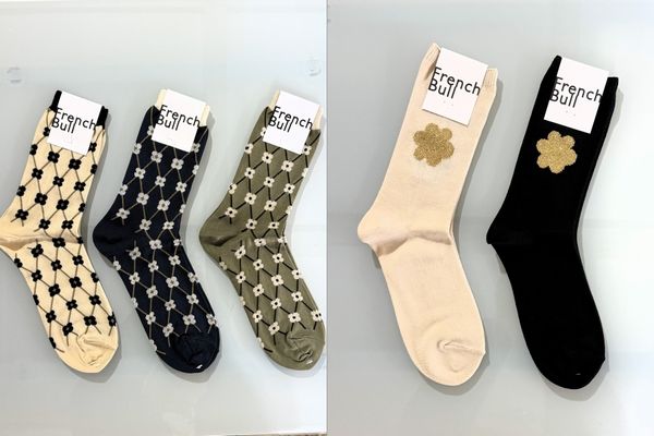 20260202frenchbull (5).jpg