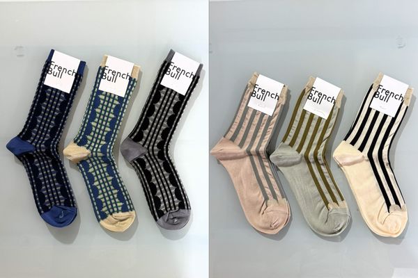 20260202frenchbull (7).jpg